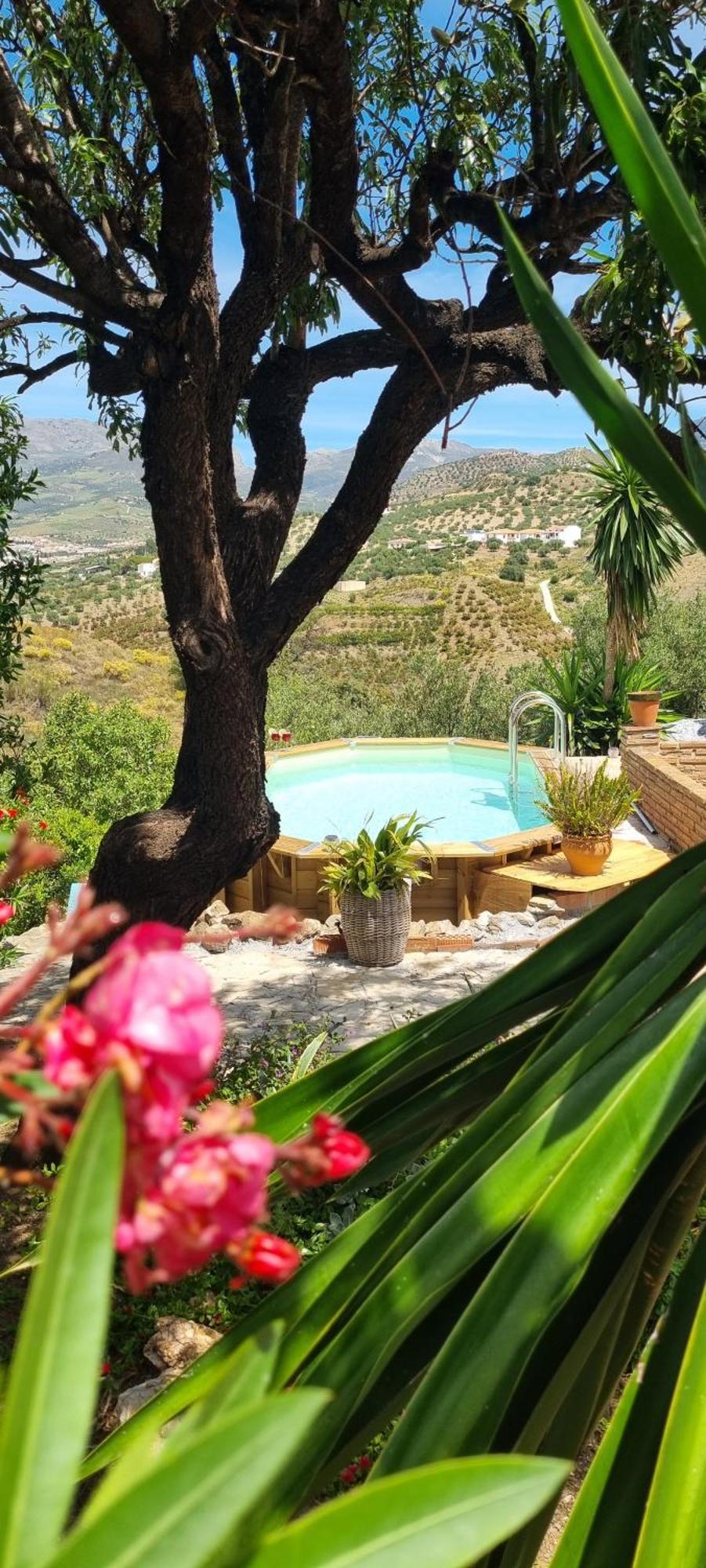 La Vista Vinuela Bed & Breakfast エクステリア 写真