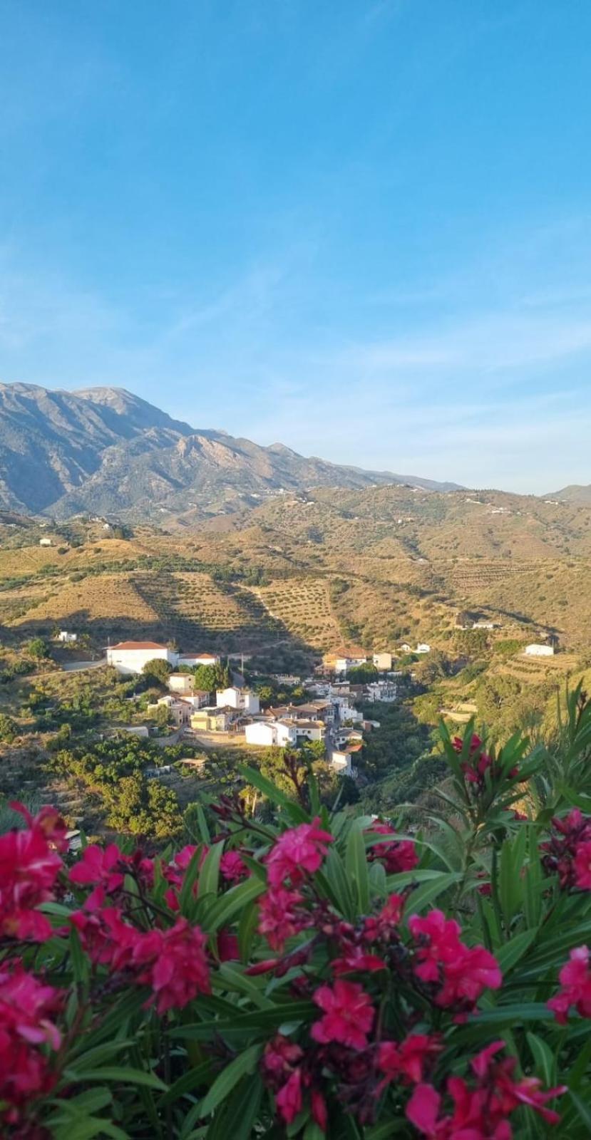 La Vista Vinuela Bed & Breakfast エクステリア 写真